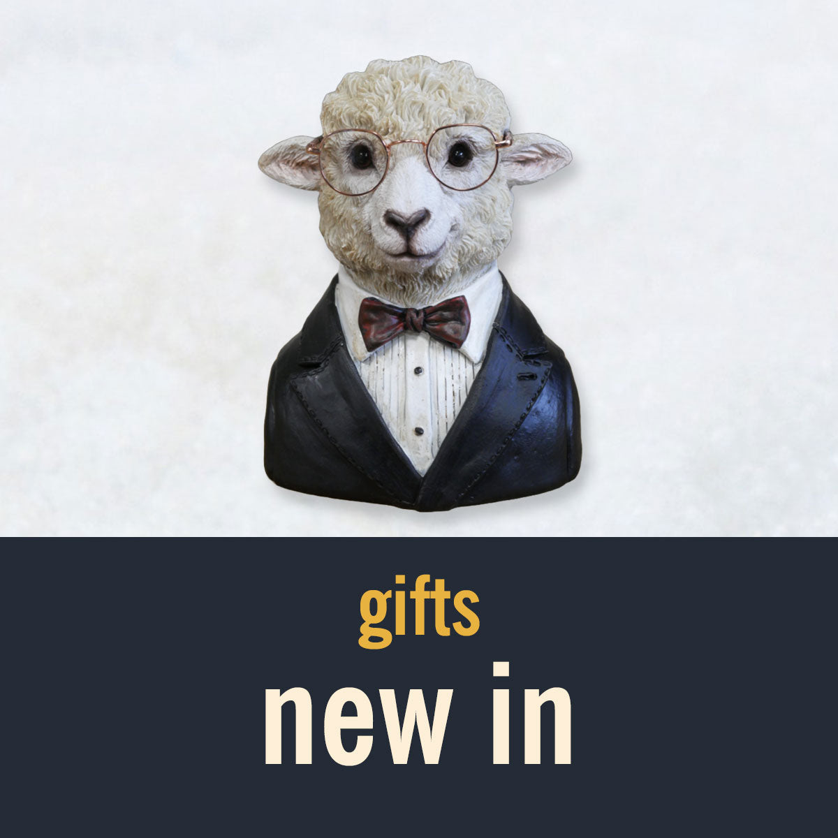 Shop our latest finds