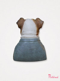 Bulldog Bust Statue - 19cm