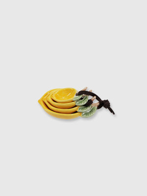 Ceramic Set of 4 Measuring Spoons - Lemon