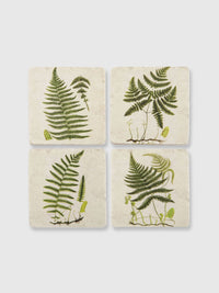 Green Fern Tile Coasters - Set of 4