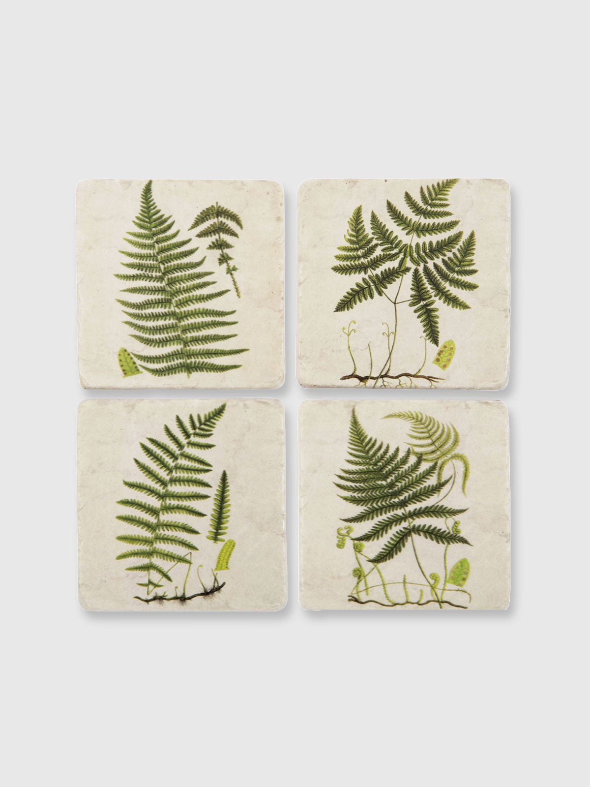 Green Fern Tile Coasters - Set of 4