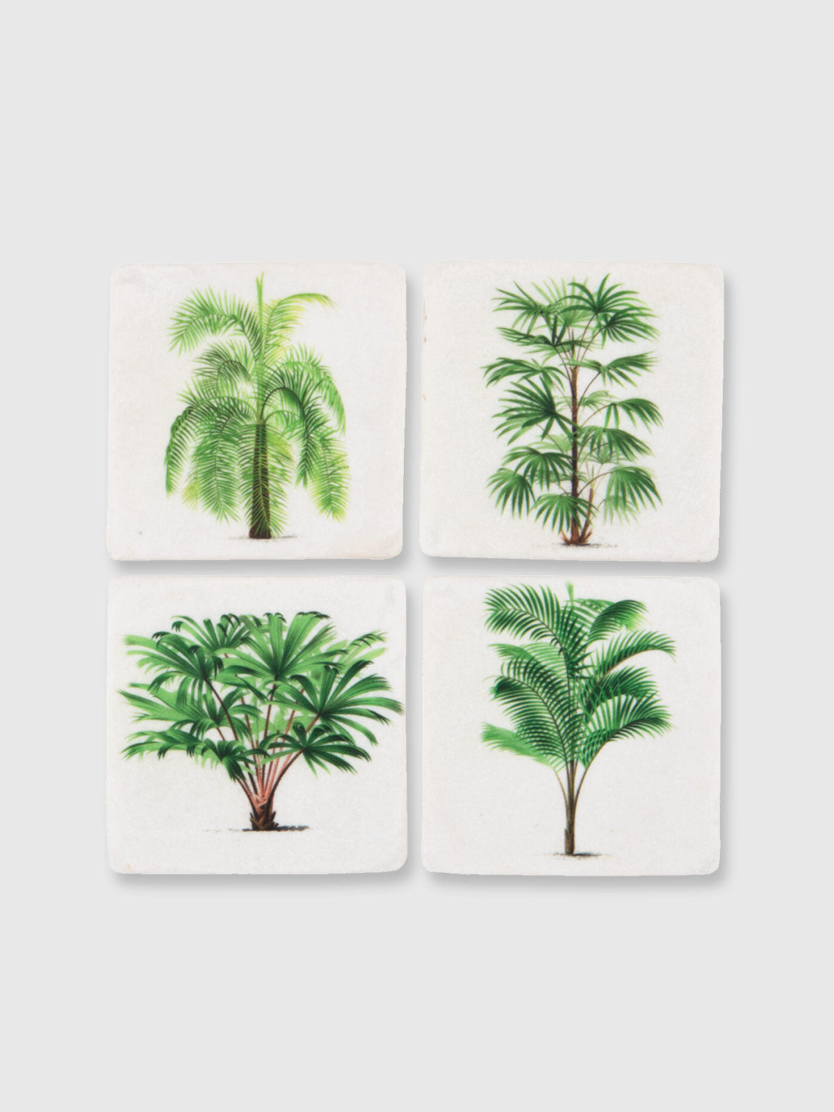 Green Botanical Tile Coasters - Set of 4