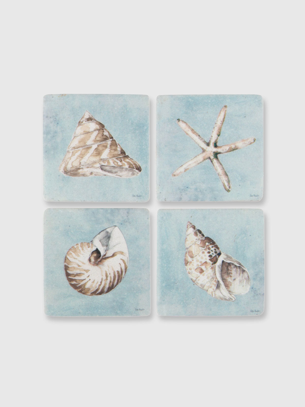 Shell Tile Coasters - Set of 4