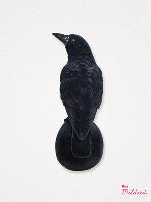 Flock Crow on Skull - Black