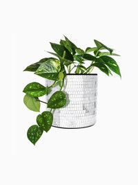 Disco Tile Planter - Silver
