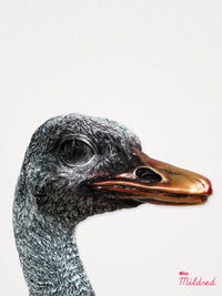 Emu Head Bust - Bronze and Gold