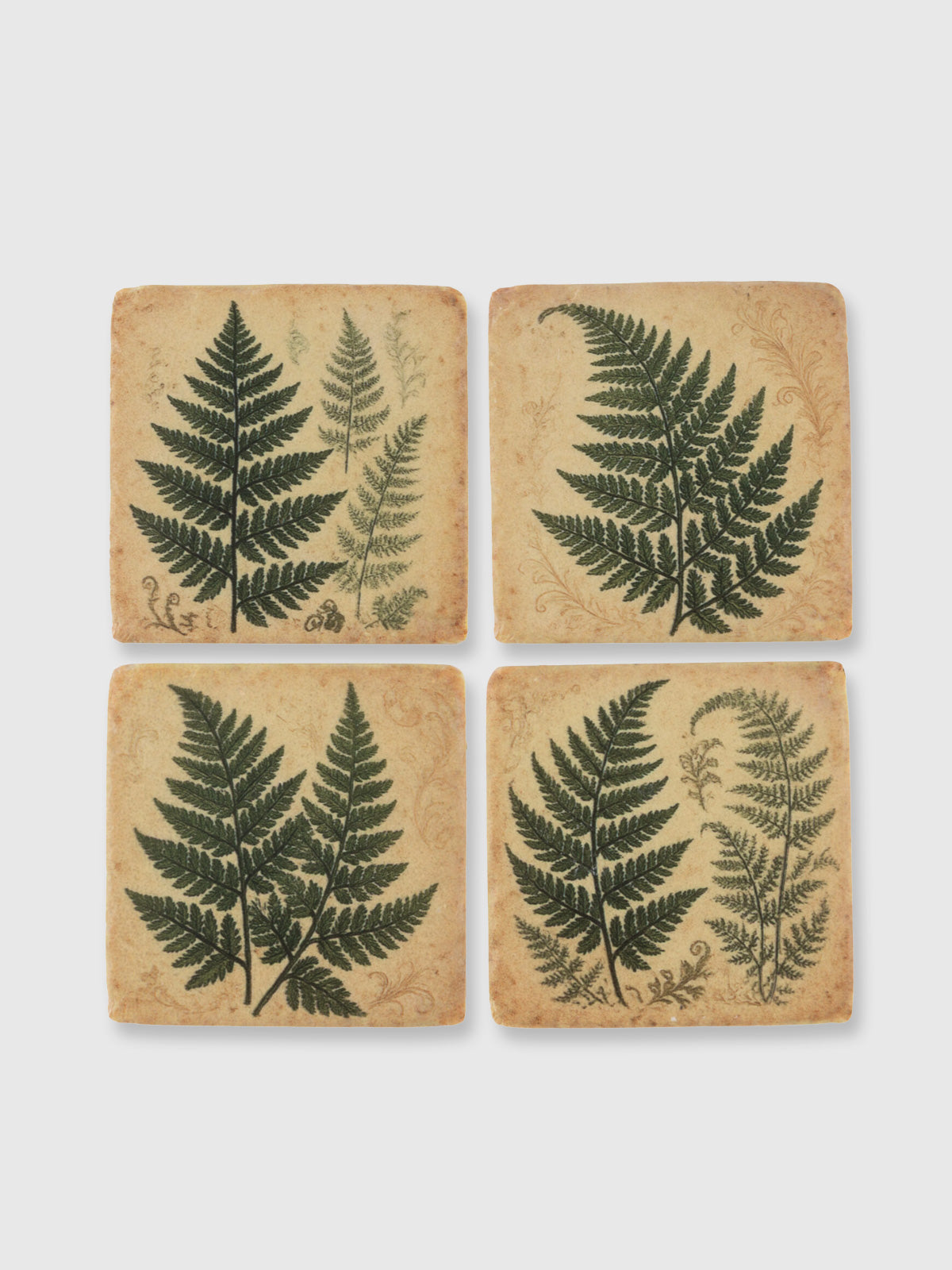 Frond Fern Print Tile Coasters - Set of 4