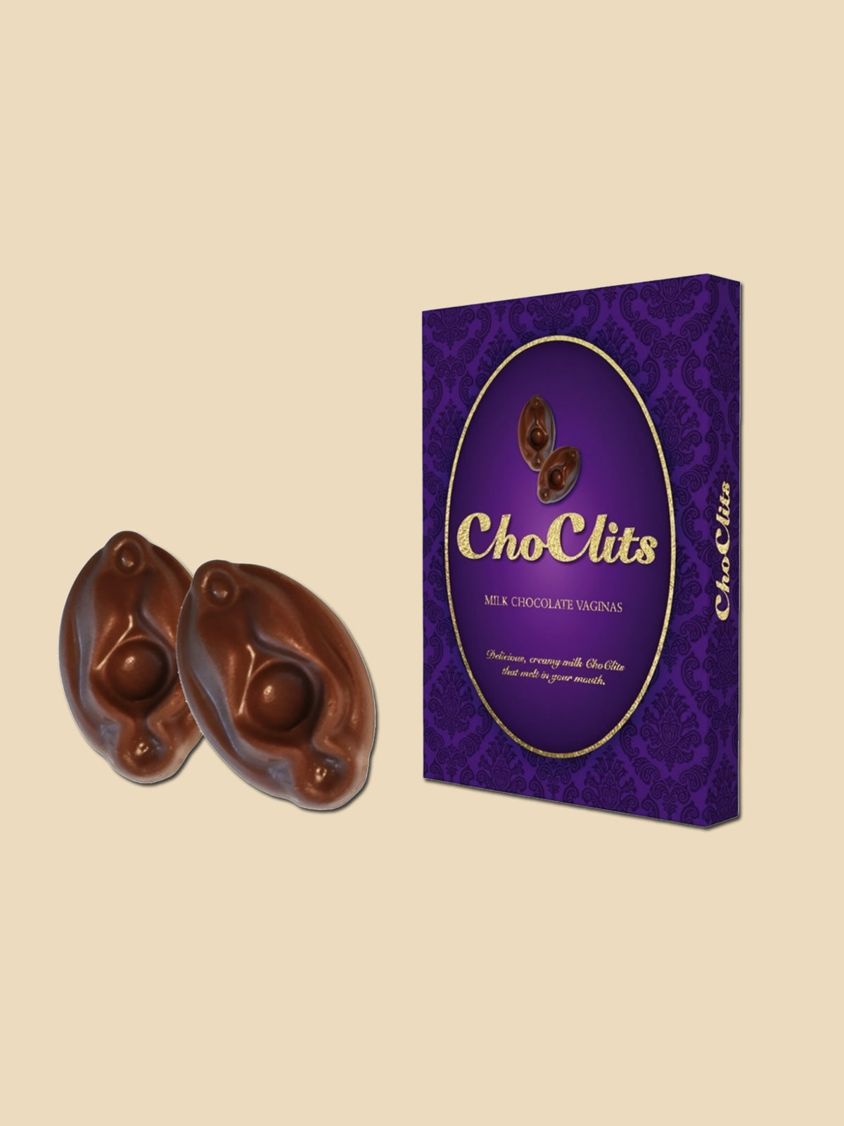 Choclits - Funny Novelty Chocolate Box - 60g