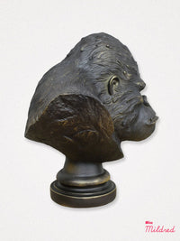 Gorilla Bust Head