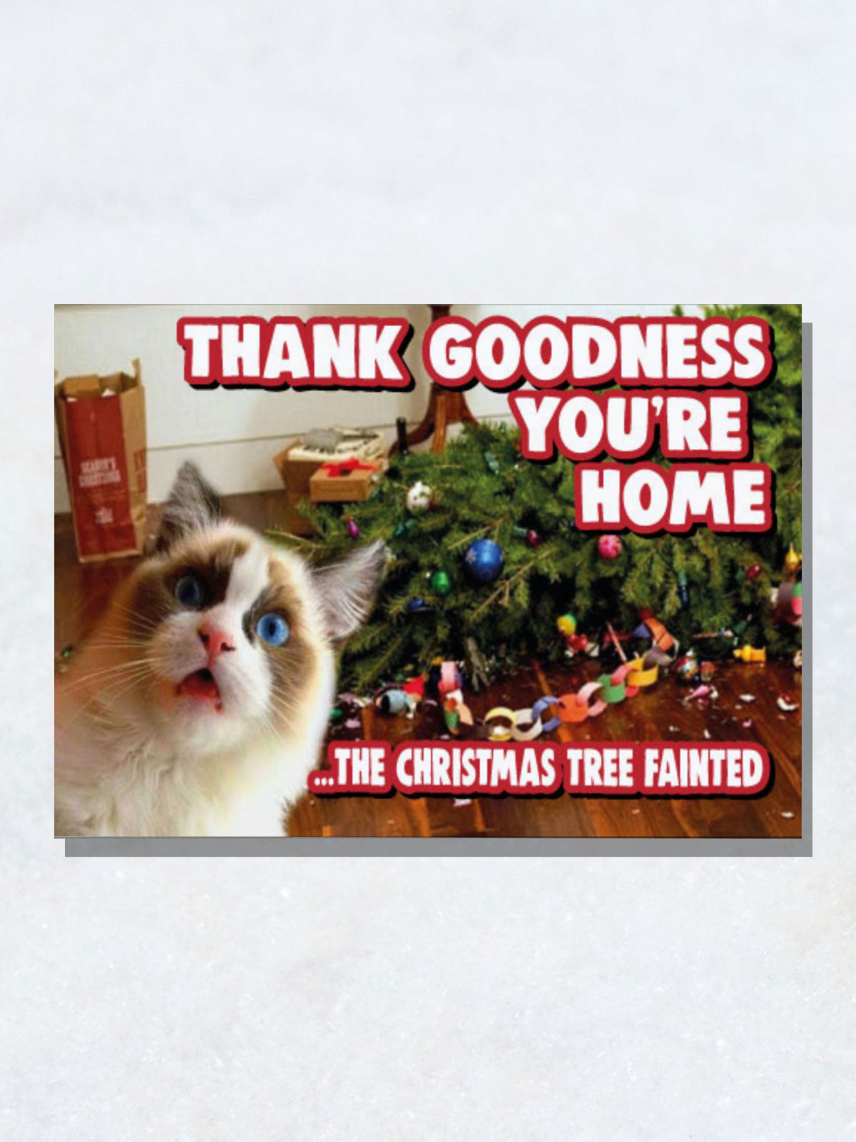 Greeting Card - Thank Goodness You're Home Cat