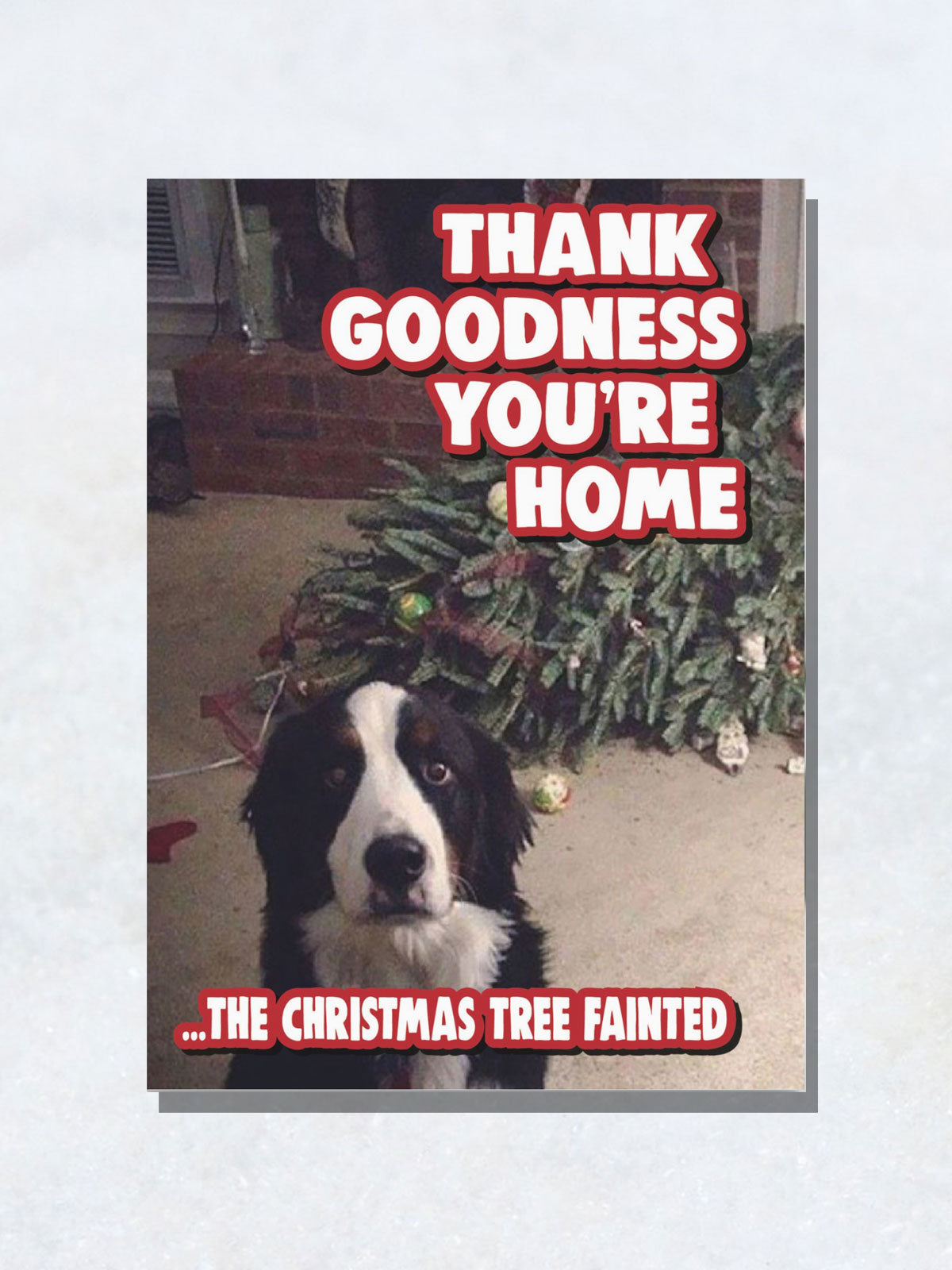 Greeting Card - Thank Goodness You're Home Dog