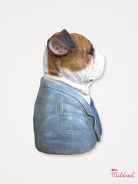 Bulldog Bust Statue - 35cm