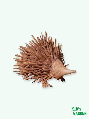 Metal Rusty Hedgehog Garden Statue