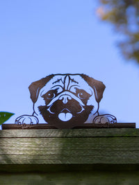 Metal Peeking Garden Wall Decoration - Pug Dog