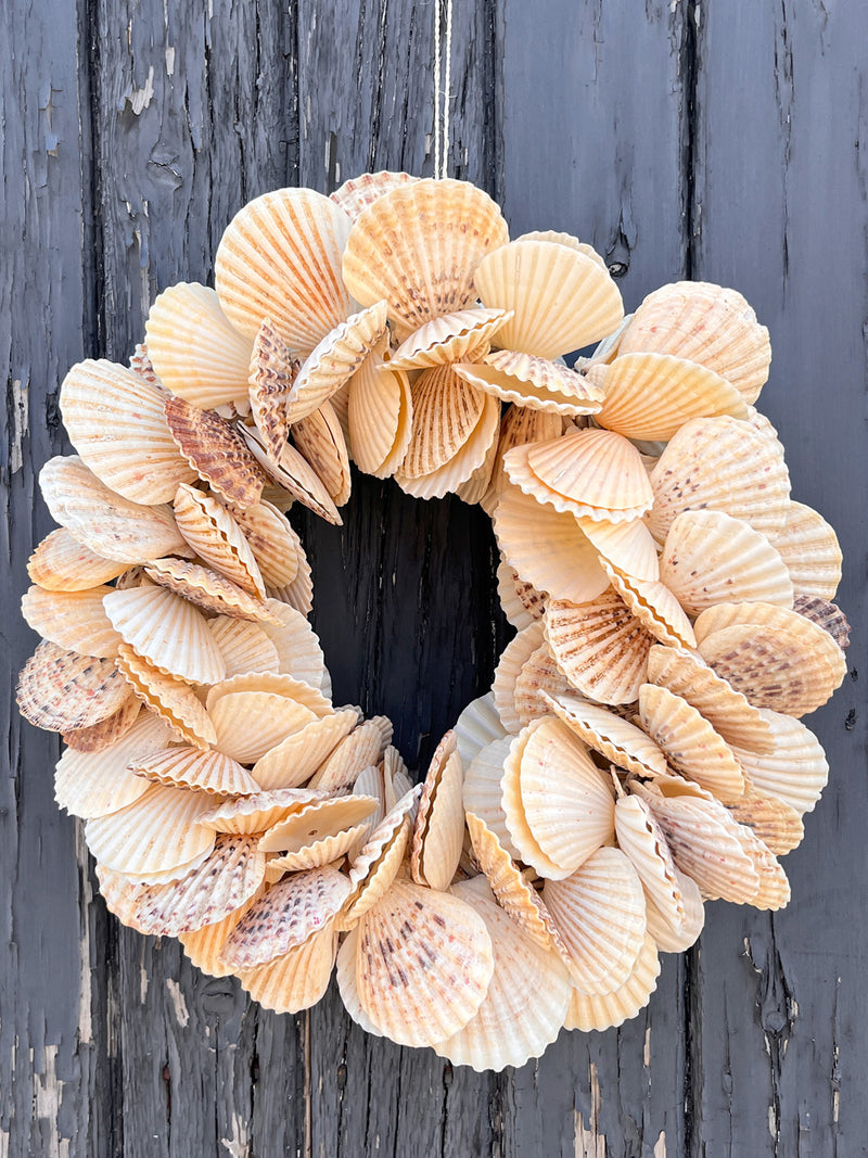 Scallop Shell Round Wreath - 34cm