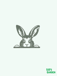 Metal Peeking Garden Wall Decoration - Rabbit / Hare