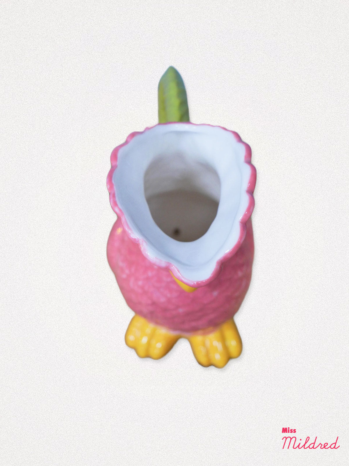 Ceramic Polly Parrot Jug - Pink