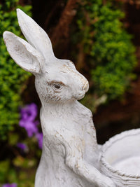 Hare Rabbits Holding Basket Garden Statue / Bird Feeder - 34cm