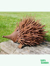 Metal Rusty Hedgehog Garden Statue