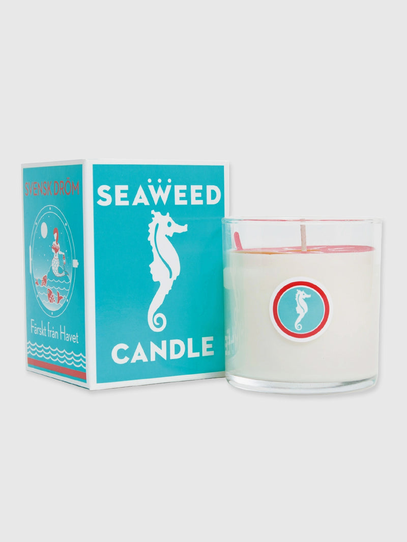 Swedish Dream - Seaweed Candle (80 hours)