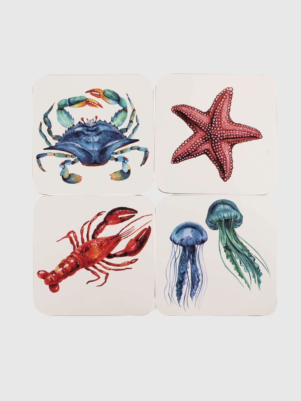 Set of 4 Coasters - Sea Creatures