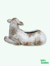 Sheep Garden Planter - 60cm