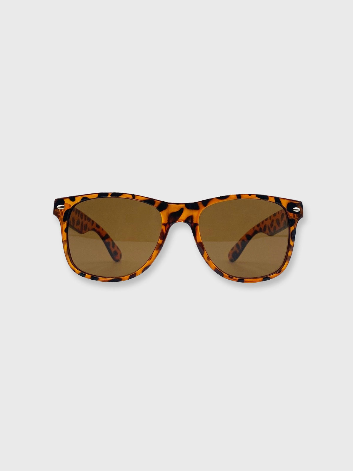 Sunglasses Tortoiseshell Wayfarer with Brown Lenses