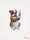 Up Yours Finger Bulldog