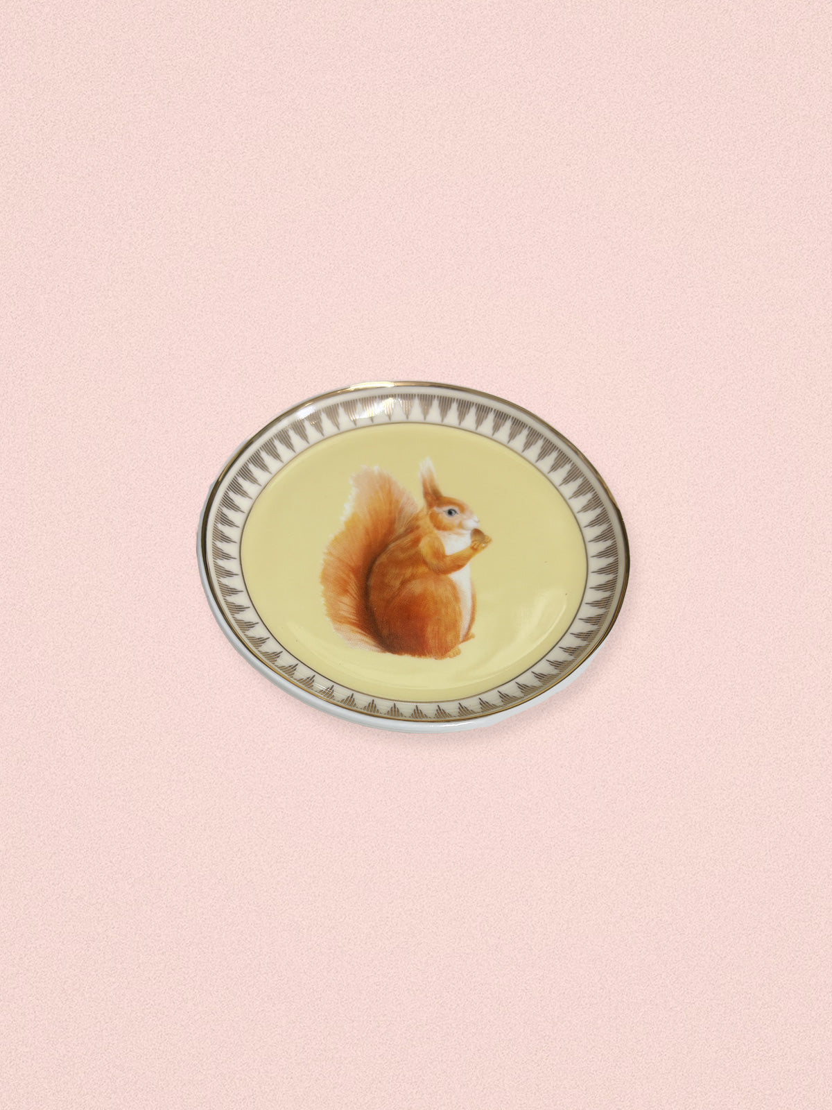Yvonne Ellen Best of British Red Squirrel - Small Trinket Dish / Coaster