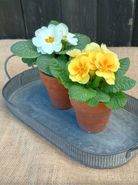 Zinc Metal Pot Tray - 36.5cm