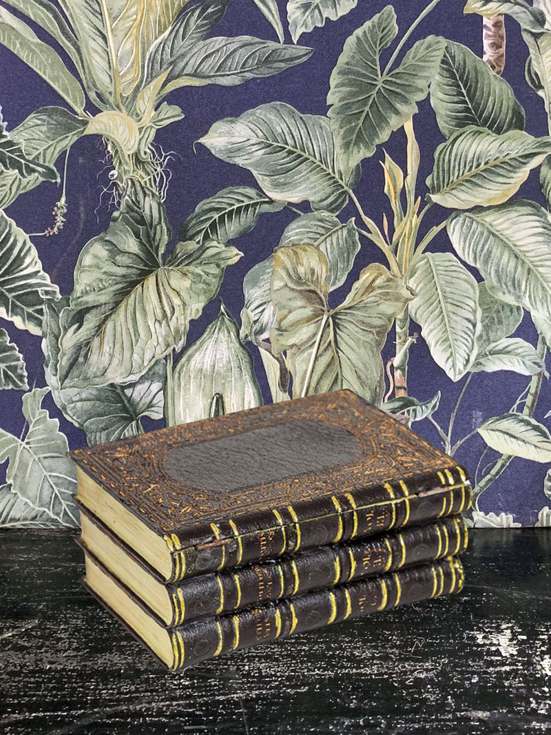 Storage Box - Antiqued Black Leather Book Style
