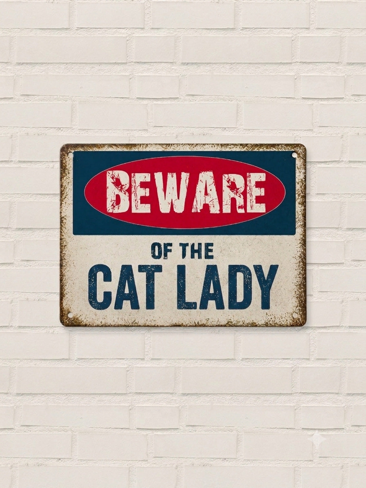 Beware Of The Cat Lady
