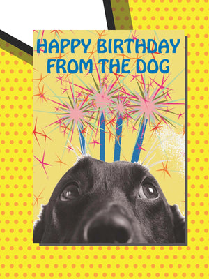 Greeting Card - Happy Birthday From The Dog