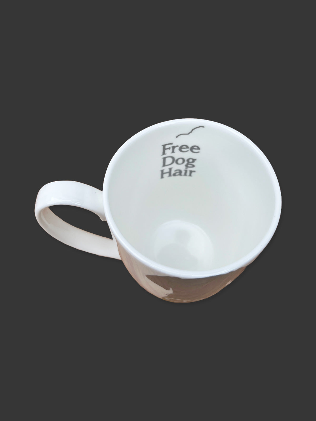 Crazy Dog Lady Mug