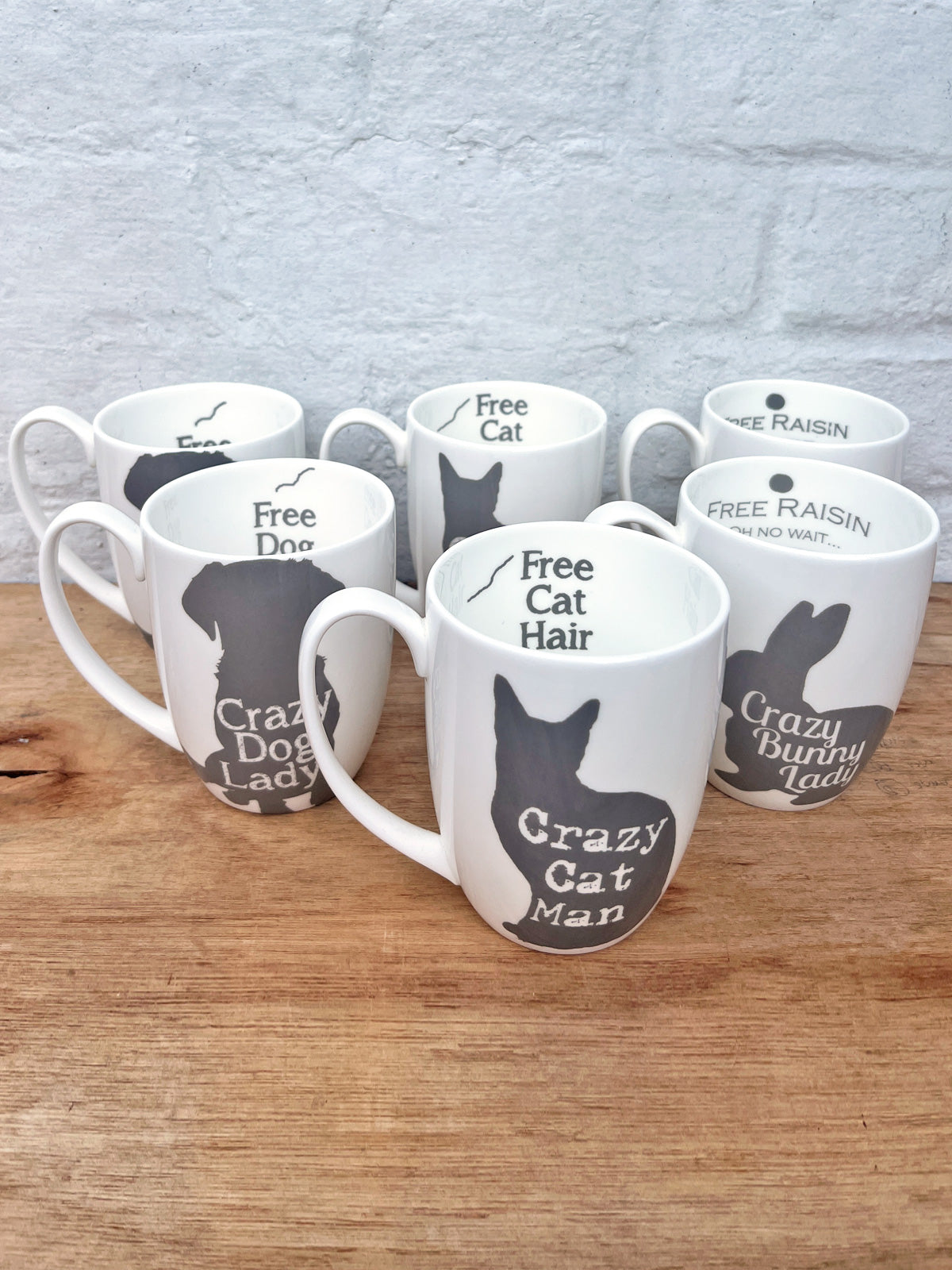 Crazy Dog Lady Mug