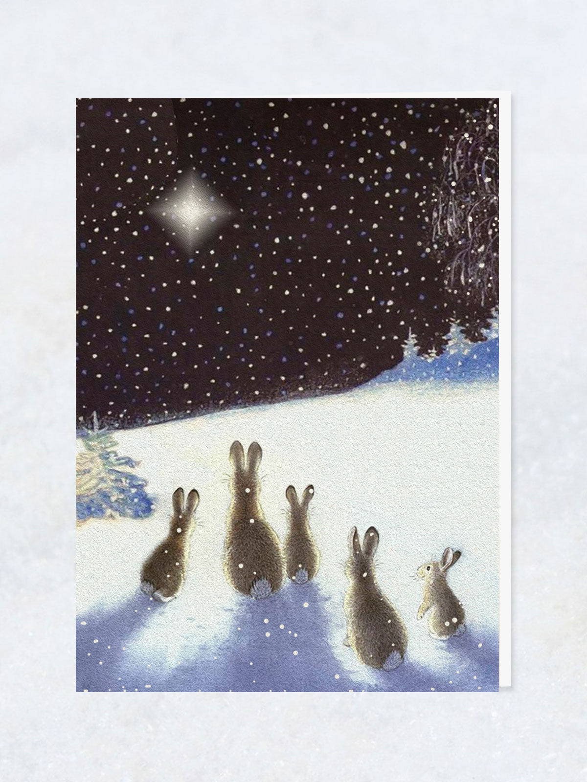 Christmas Greeting Card - Rabbit & Holy Star