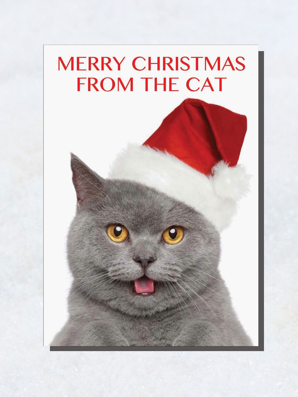 Greeting Card - Merry Christmas From The Cat