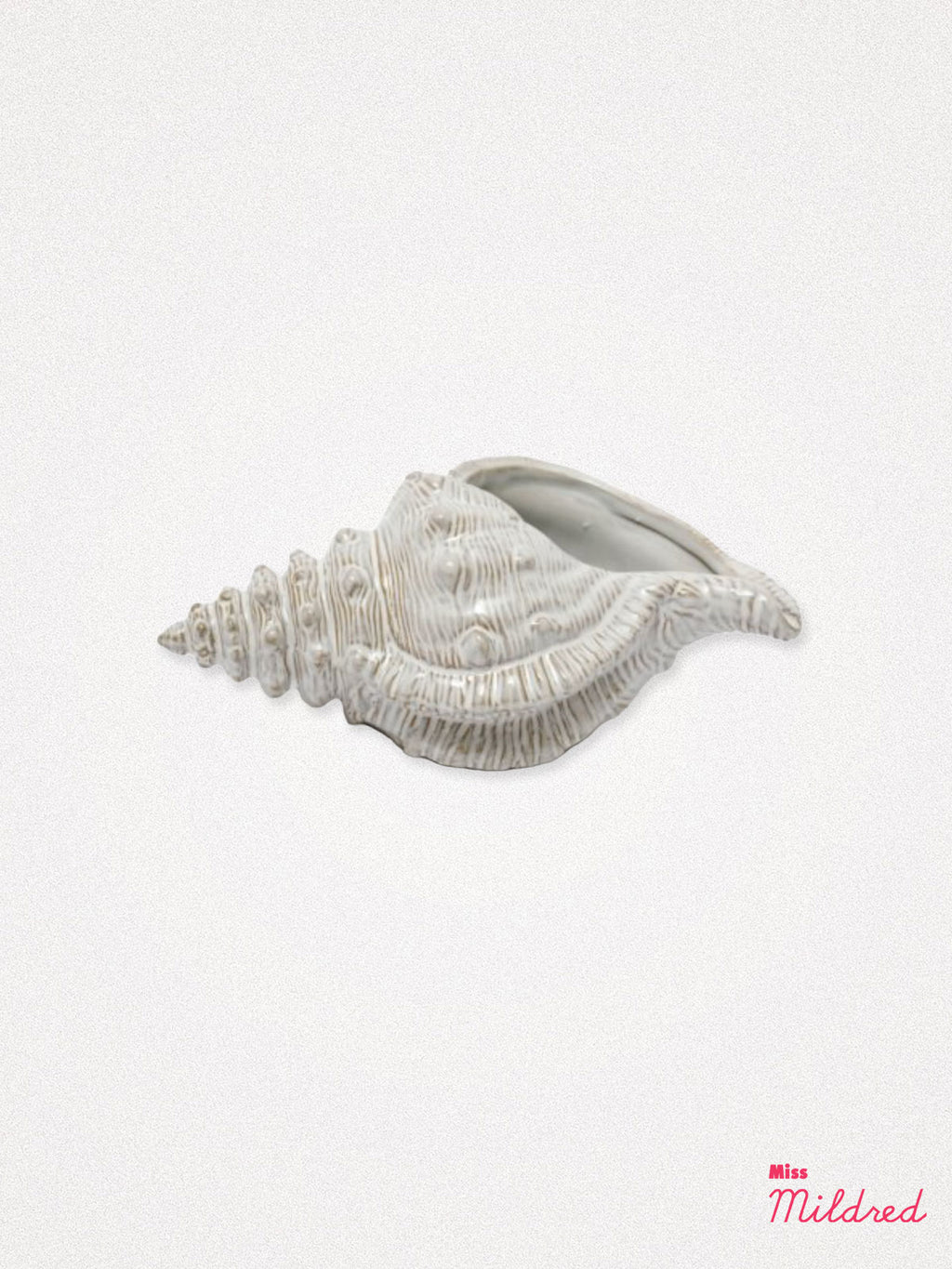 Conch Shell Ornament