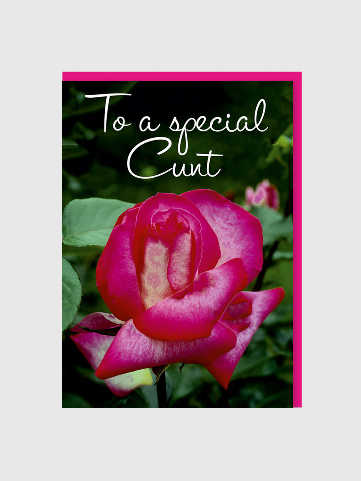 Greeting Card - To A Special Aunt / Cunt
