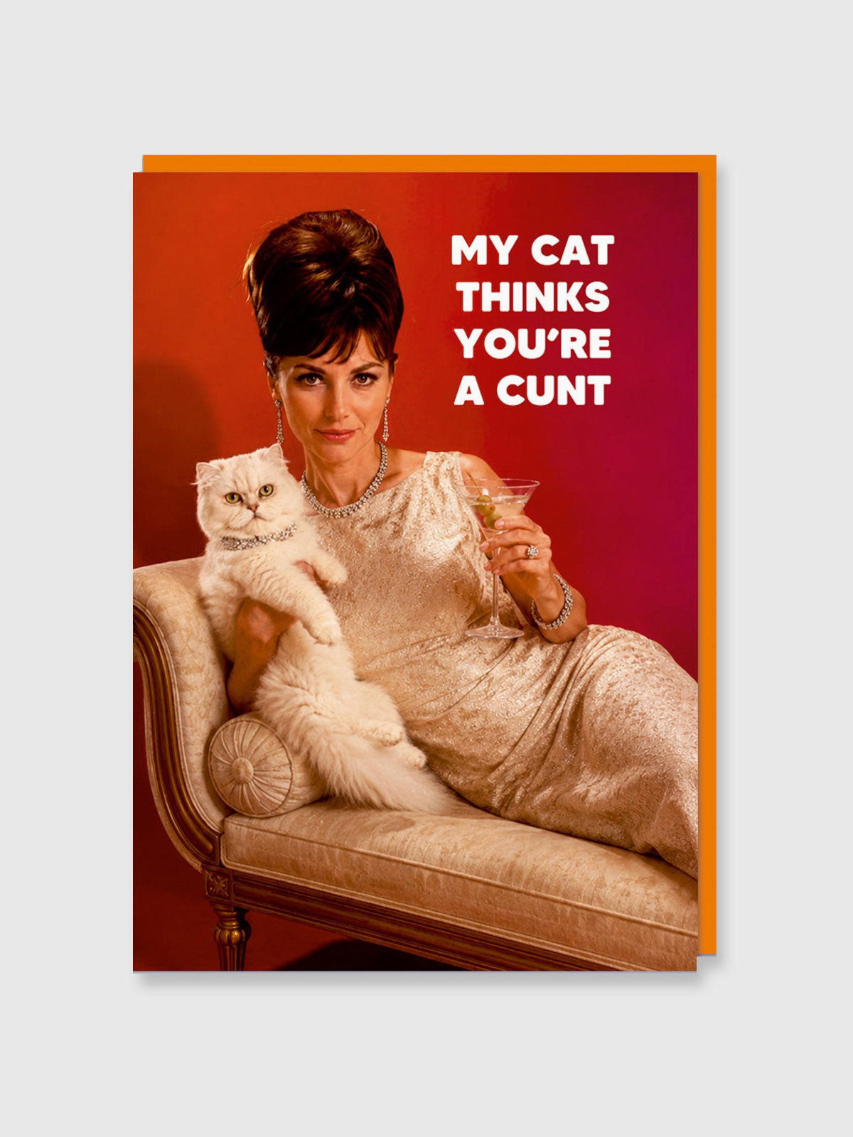 Greeting Card - My Cat Thinks You're A C*nt