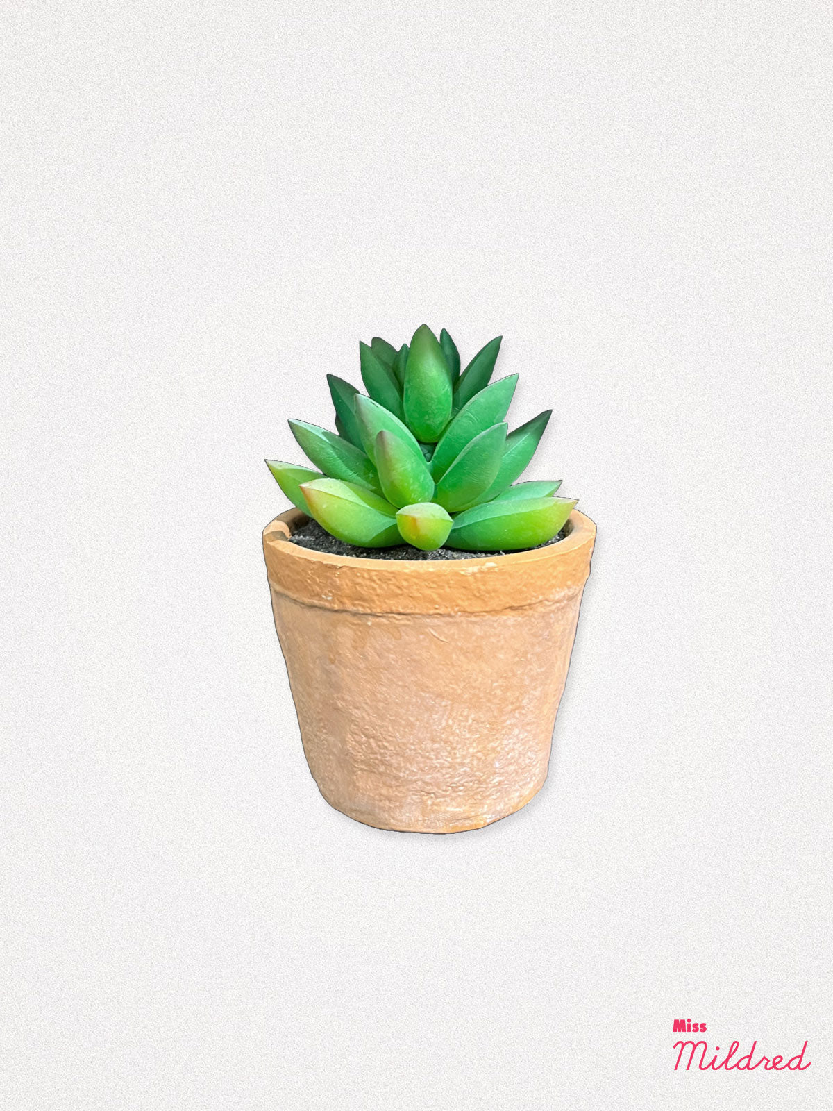 Faux Cactus Plant in Pot