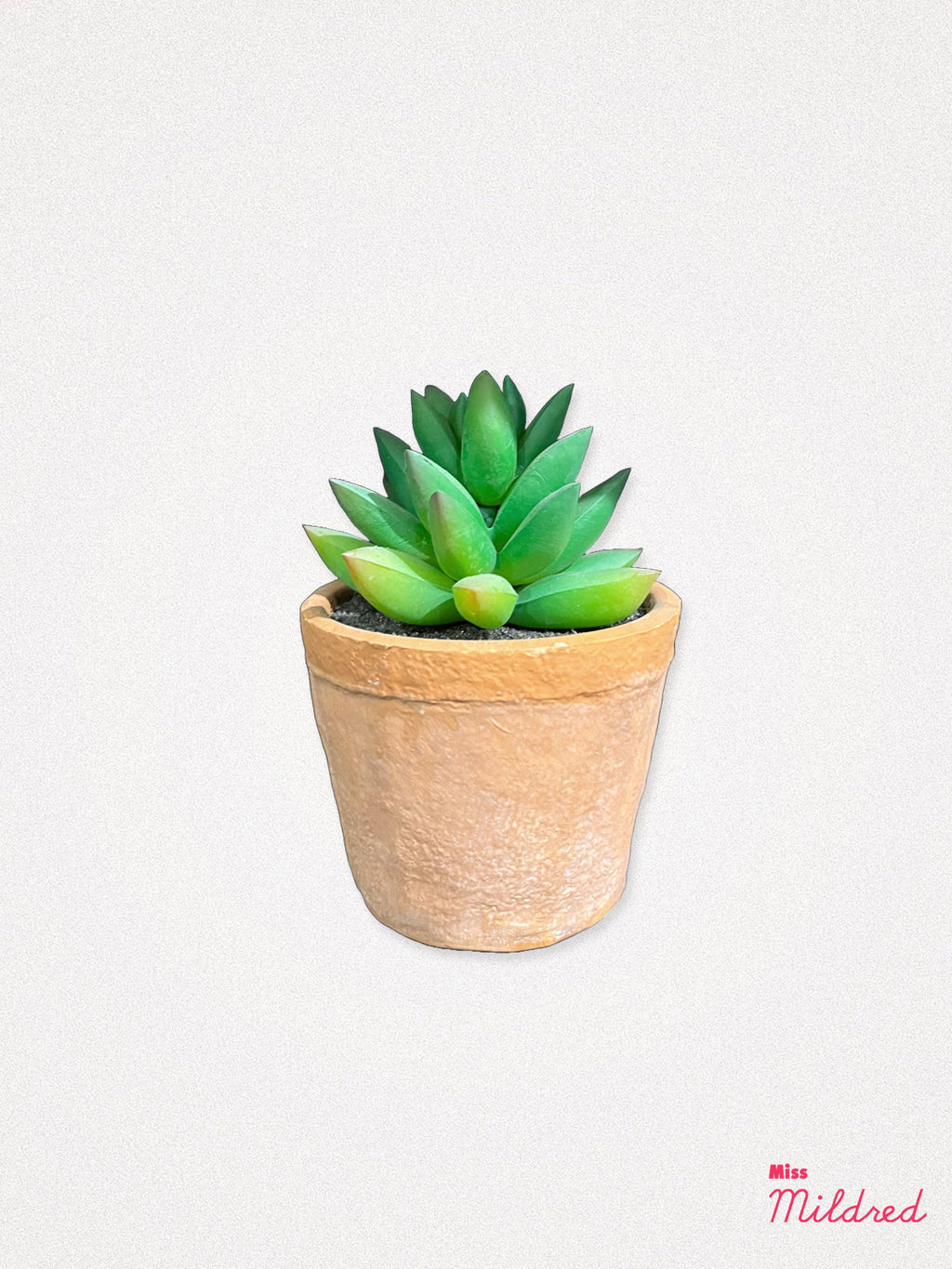 Faux Cactus Plant in Pot