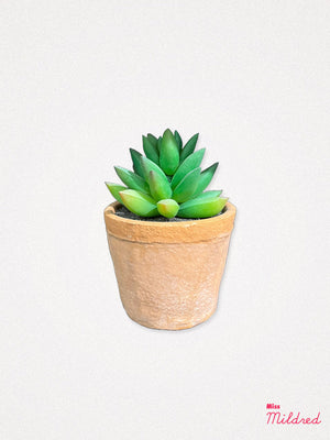 Faux Cactus Plant in Pot