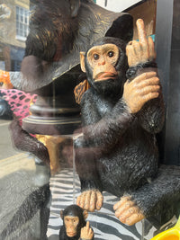 Up Yours Finger Monkey Large