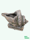 Shell Shaped Planter - 50cm