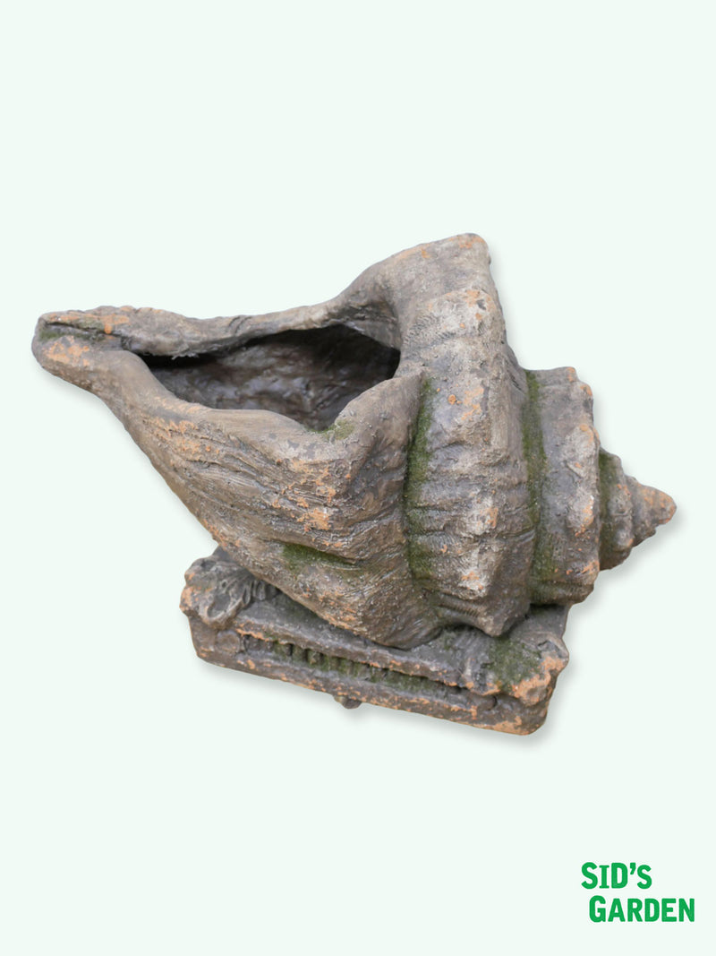 Shell Shaped Planter - 50cm
