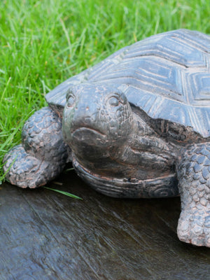 Tortoise Garden Statue