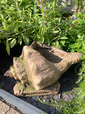 Shell Shaped Planter - 50cm