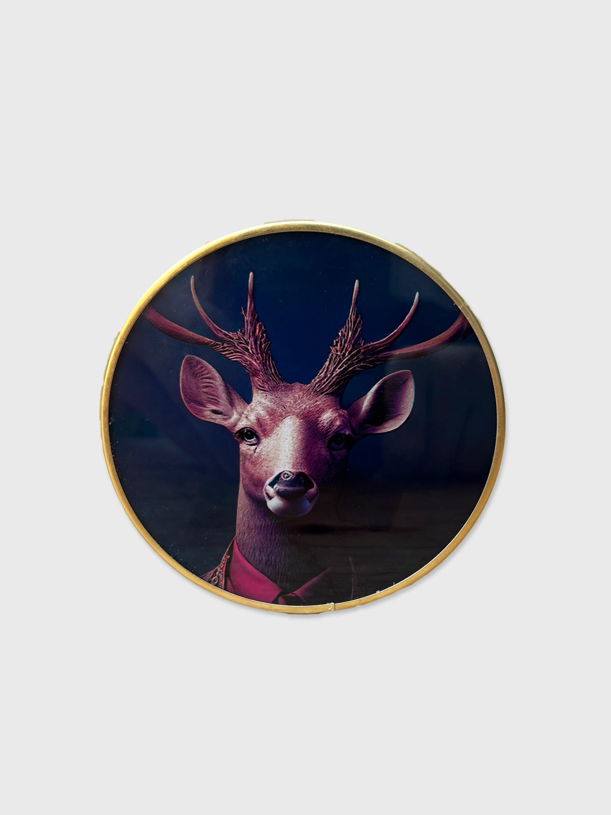 Forest Gentry Coaster - Stag