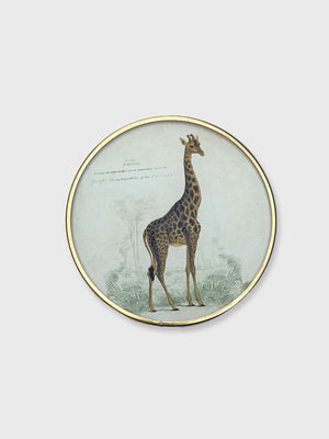 Vintage Style Coaster - Giraffe